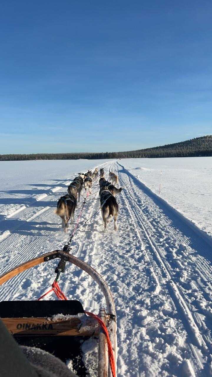 Dog team crossing a wide frozen lake